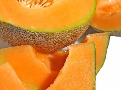 cantaloup